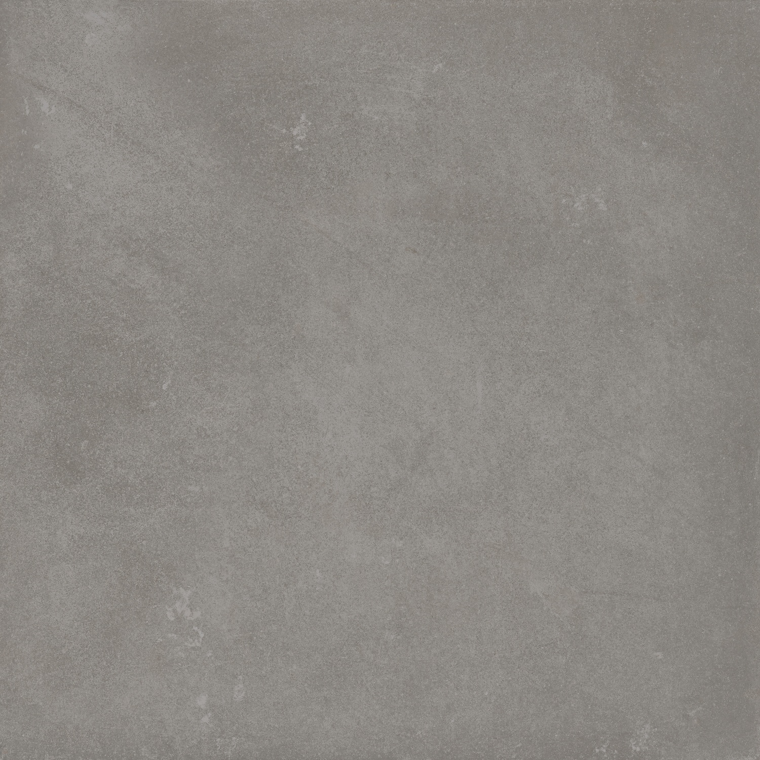 Danzing Grey